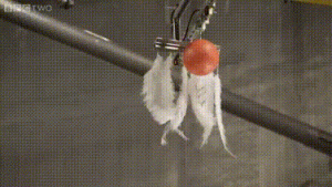 1kg lông vũ và 1kg sắt thì cái nào rơi nhanh hơn?