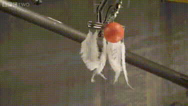 1kg lông vũ và 1kg sắt thì cái nào rơi nhanh hơn?