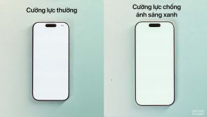 Nên chọn cường lực thường hay cường lực chống ánh sáng xanh cho iPhone?