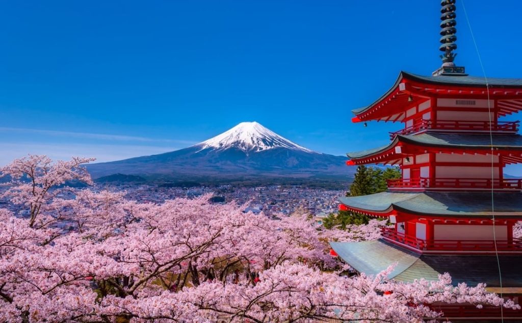 Một thành phố ở Nhật huỷ bỏ lễ hội hoa anh đào sau 10 năm, vì nhiều du khách cư xử thiếu văn minh缩略图 Tết Ant Khang