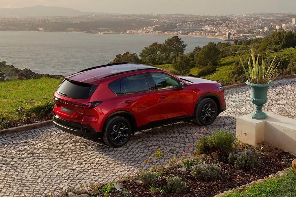 Skyactiv-Z: Thiết kế "động cơ xăng đốt sạch" mới nhất của Mazda có gì bên trong?缩略图 Edit