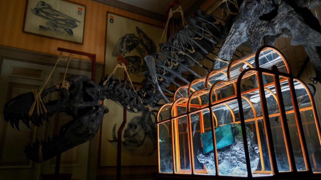 Túi xách có collagen nhân tạo từ hóa thạch xương khủng long T-rex缩略图 Máy lạnh TCL