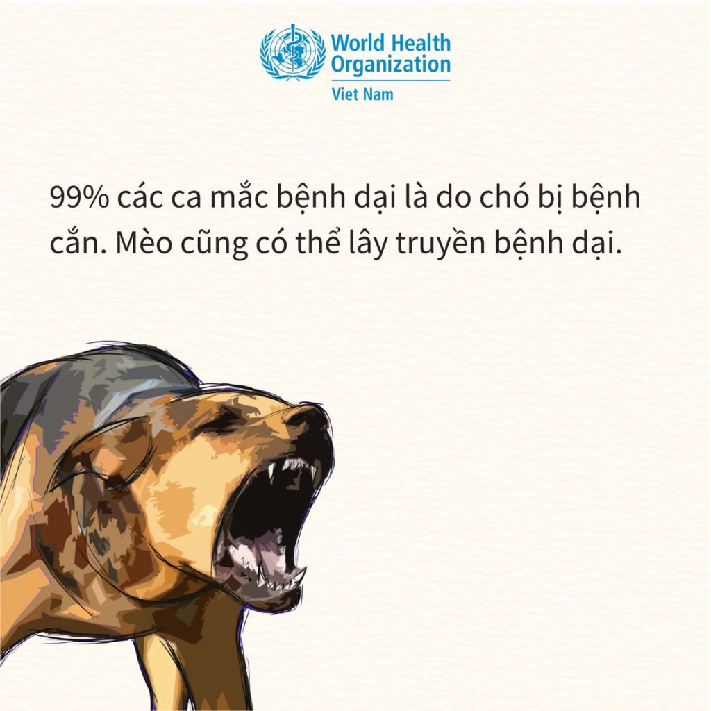 Trời nóng cũng làm nguy cơ bệnh dại tăng cao nhé anh em缩略图 Thích