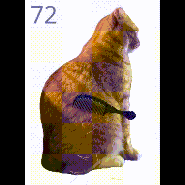 Đây là game chải lông cho mèo cam tai tiếng