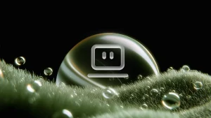 Thích